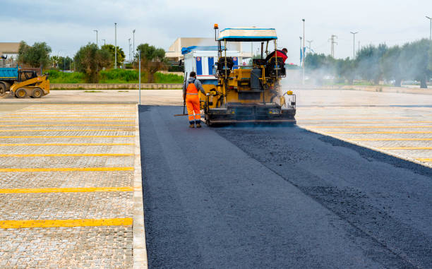 Best Decorative Driveway Pavers  in Siesta Acres, TX